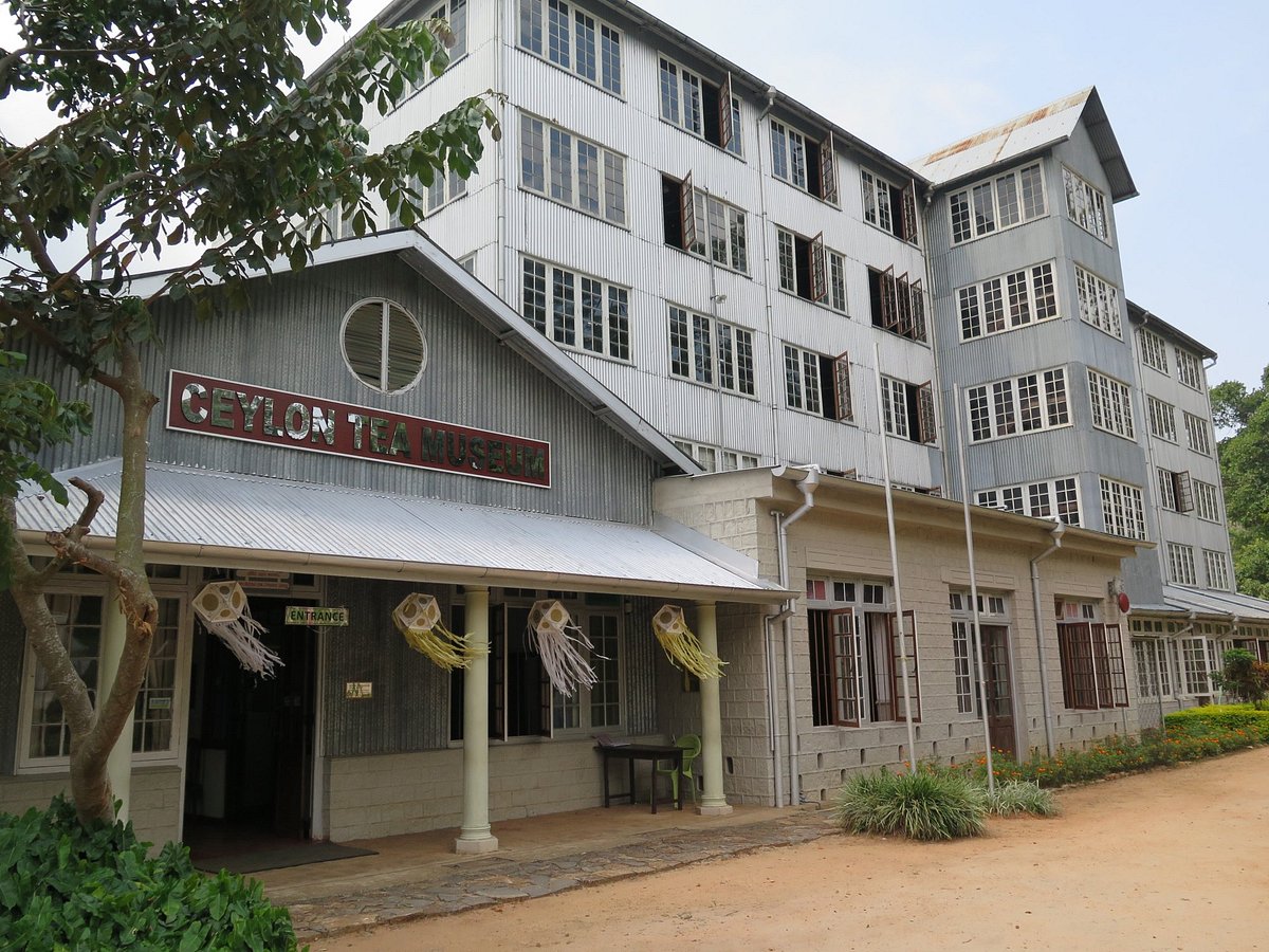 Visit the Ceylon Tea Museum